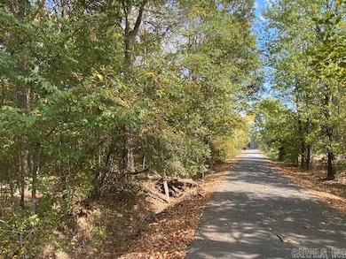 00 N Lily and Hwy 60 Hwy, Houston, AR 72070 - photo 2