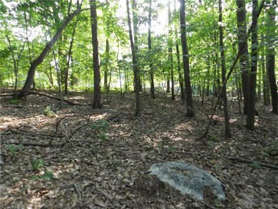 0 Rockridge Rd unit 1019218, Asheboro, NC 27205 - photo 7