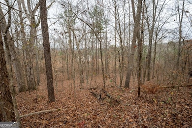 0 Marlene Dr NE unit 10656253, Rome, GA 30165 - photo 7