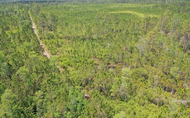 0 County Line & Prine unit 129261, Lee, FL 32059 - photo 5