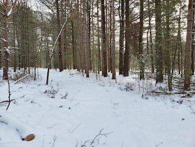 0 N Rd, Brohman, MI 49312 - photo 2