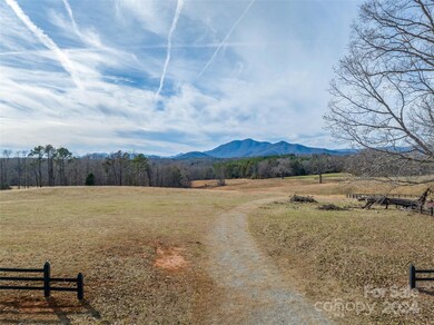 Lot 48.2 A R Thompson Rd, Mill Spring, NC 28756 - photo 5