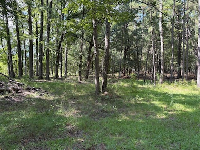 312 Weeks Landing Rd, Cameron, SC 29030 - photo 4