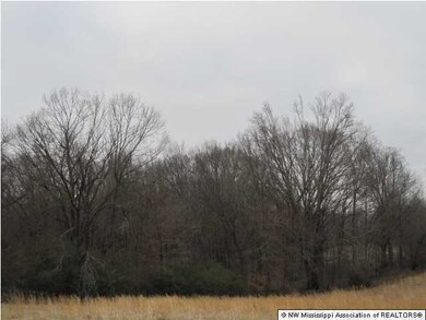 200 Ranch Rd, Hernando, MS 38632 - photo 7