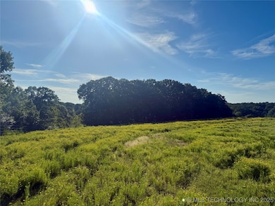 29110 S 321st West Ave, Bristow, OK 74010 - photo 2