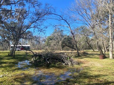 0 River Bend Dr unit 69791859, Brazoria, TX 77422 - photo 6