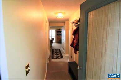 439 Three Ridges, Wintergreen Resort, VA 22967 - photo 3