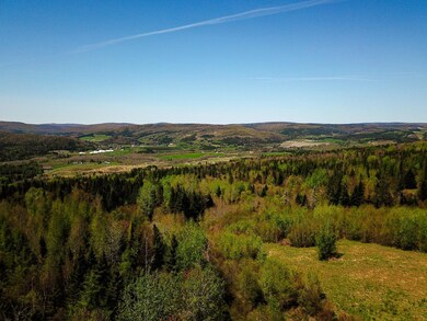 85 Border View Dr, Pittsburg, NH 03592 - photo 4