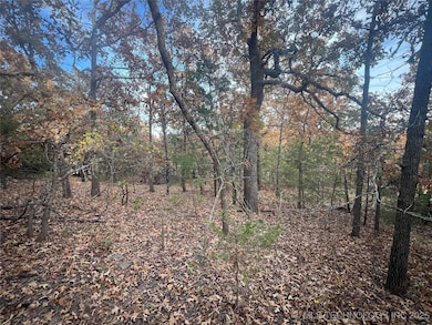 0047 Van Gogh Rd, Sand Springs, OK 74063 - photo 2