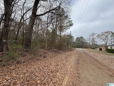 0 Winslow Ave unit 21438336, Anniston, AL 36206 - photo 4