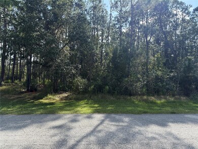 0 Limpkin Ln unit MFRP4937119, Frostproof, FL 33843 - photo 3
