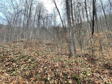 805 Sparkling Falls Rd, Whittier, NC 28789 - photo 7