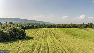 0 Jefferson Pike unit 1000240744, Knoxville, MD 21758 - photo 7