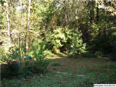 Wooded back yard