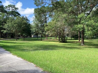 Driveway showing the front pasture