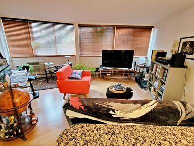 512 Green St unit 1A, Cambridge, MA 02139 - photo 5