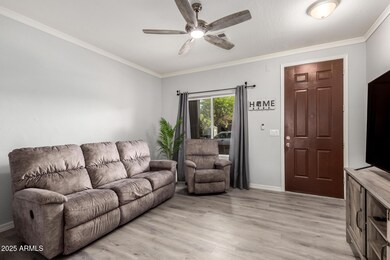 Bright Living Room Entry