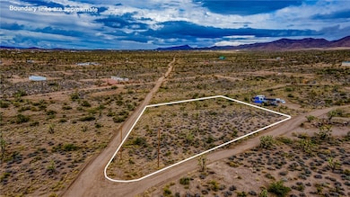 001 W Cajon Dr, White Hills, AZ 86441 - photo 3