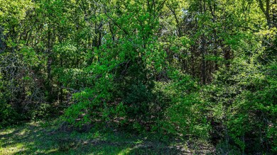 Lot 98 Waters Edge Dr, Corsicana, TX 75109 - photo 5