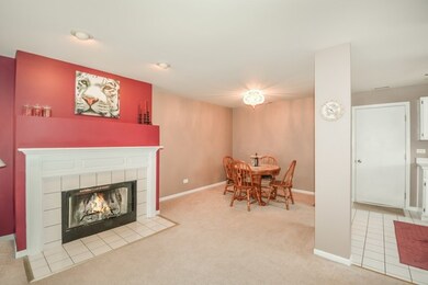 1910 Cinnamon Ct, Joliet, IL 60435 - photo 4