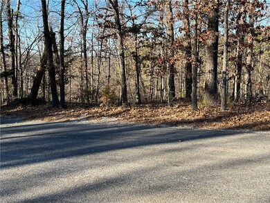 16 Johnson Ln, Bella Vista, AR 72715 - photo 6