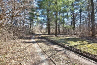 Wooded Grounds