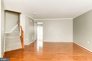 206 Hupps Hill Ct, Strasburg, VA 22657 - photo 5