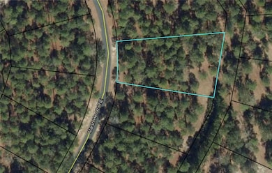 LOT 504 N Marsh Hen Rd NE, Townsend, GA 31331 - photo 5