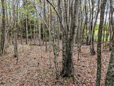 Lot 762 Surrey Ln, Spencer, TN 38585 - photo 4