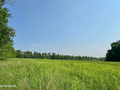 292 E Hawley Rd, Charlemont, MA 01339 - photo 4