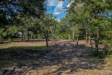 Tract 6 Sun Oil Rd, Brenham, TX 77833 - photo 7