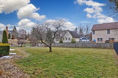 43. Back Yard