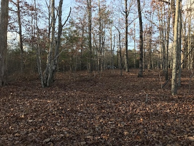 1 S Vista View Dr, Dunlap, TN 37327 - photo 6