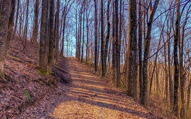 LT 67 Mealer Rd, Ellijay, GA 30536 - photo 6