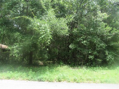 Lot's Of Gorgeous Trees  For Natural Surroundings 