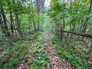 unlisted-address, Wilson, WI 54027 - photo 3