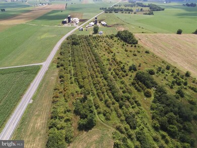 1699 Mercersburg Rd, Saint Thomas, PA 17252 - photo 3