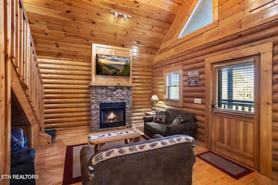 Living Room : Fireplace
