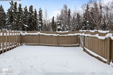 Back Yard MS_106285-SMALL