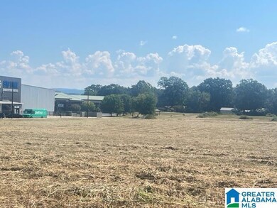 0 Elm St unit m&b 21432126, Oxford, AL 36203 - photo 6