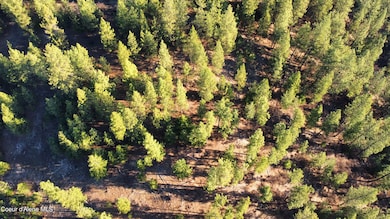 dji_fly_20240320_084032_272_171094924625