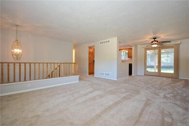 ALL NEW Carpet