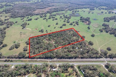 TBD S Us 301, Webster, FL 33597 - photo 5