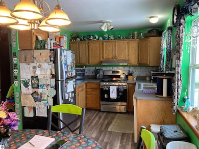 302 W Page St, Rose City, MI 48654 - photo 4