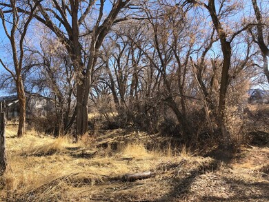 Wildlife corridor on property to south