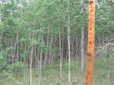 52 Chukar Ln, Como, CO 80432 - photo 5