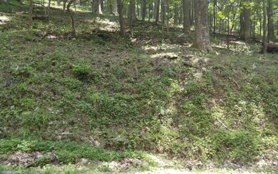 Additional View