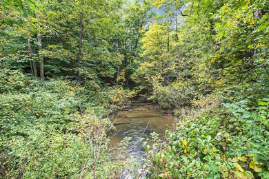 Blue Creek