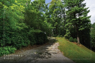 618 Nix Mountain Rd, Sapphire, NC 28774 - photo 2