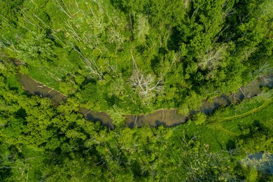 6180 Long Rd, Three Oaks, MI 49128 - photo 4